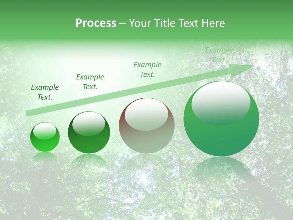 Pine Sunset Sunlight PowerPoint Template