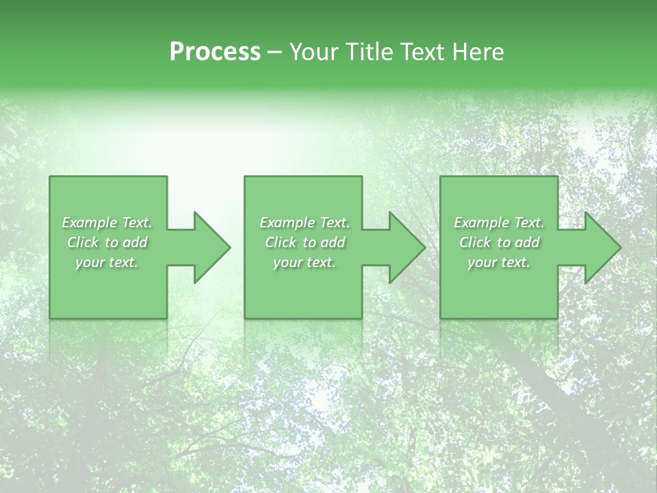 Pine Sunset Sunlight PowerPoint Template