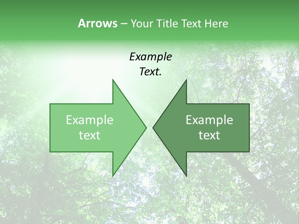 Pine Sunset Sunlight PowerPoint Template