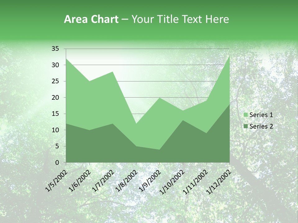 Pine Sunset Sunlight PowerPoint Template
