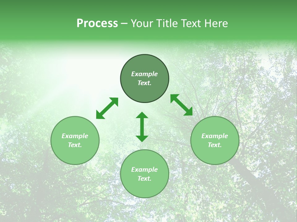 Pine Sunset Sunlight PowerPoint Template