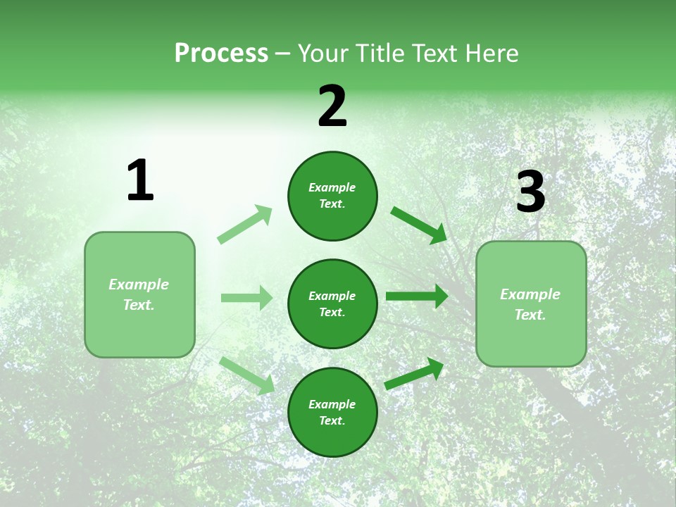 Pine Sunset Sunlight PowerPoint Template