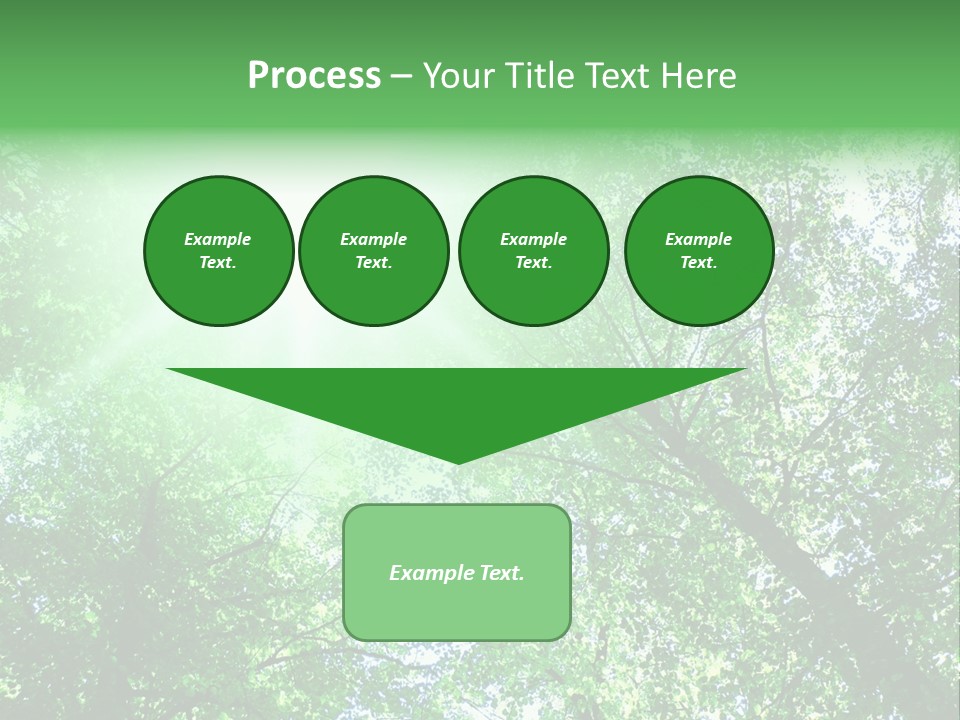 Pine Sunset Sunlight PowerPoint Template
