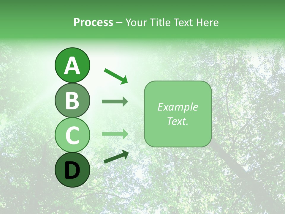 Pine Sunset Sunlight PowerPoint Template