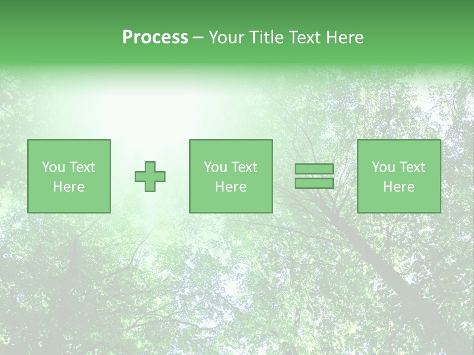 Pine Sunset Sunlight PowerPoint Template