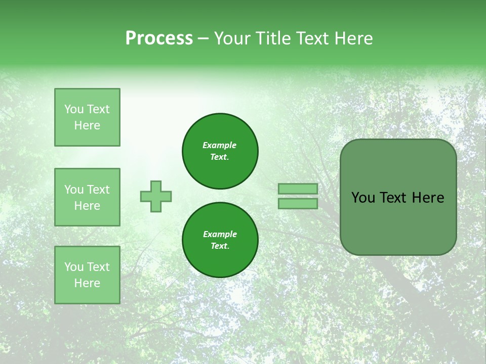 Pine Sunset Sunlight PowerPoint Template