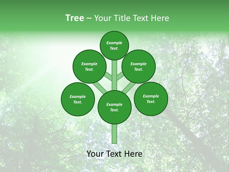 Pine Sunset Sunlight PowerPoint Template
