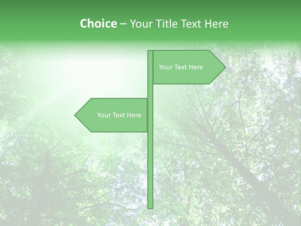 Pine Sunset Sunlight PowerPoint Template