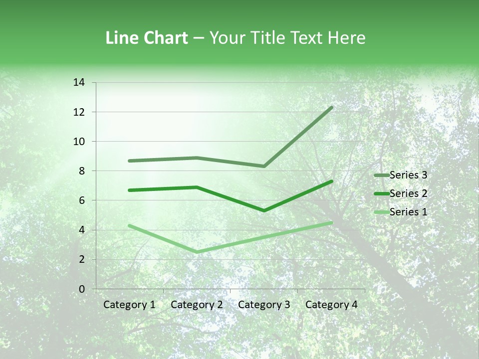 Pine Sunset Sunlight PowerPoint Template
