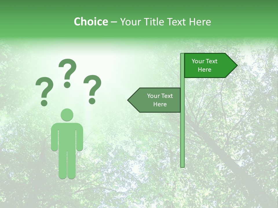 Pine Sunset Sunlight PowerPoint Template