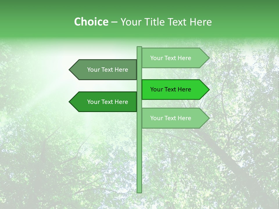 Pine Sunset Sunlight PowerPoint Template