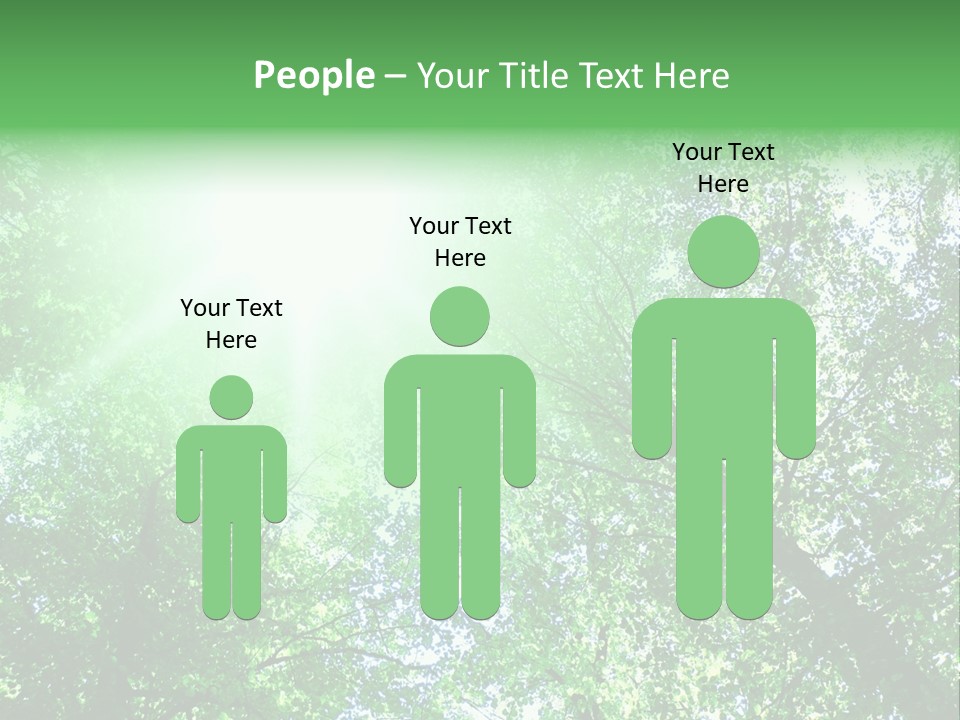 Pine Sunset Sunlight PowerPoint Template