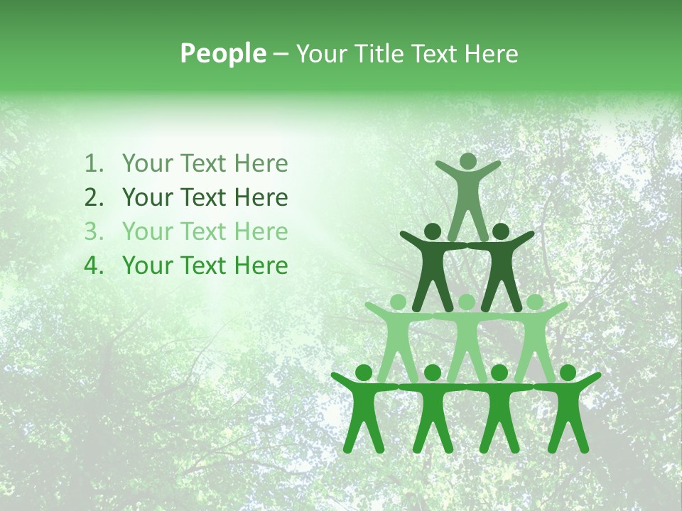 Pine Sunset Sunlight PowerPoint Template