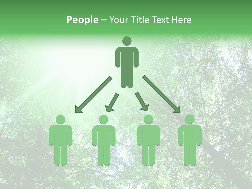 Pine Sunset Sunlight PowerPoint Template