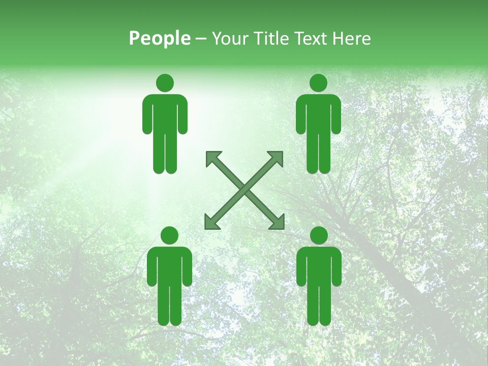 Pine Sunset Sunlight PowerPoint Template