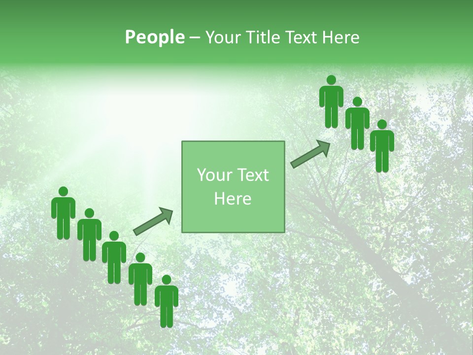 Pine Sunset Sunlight PowerPoint Template