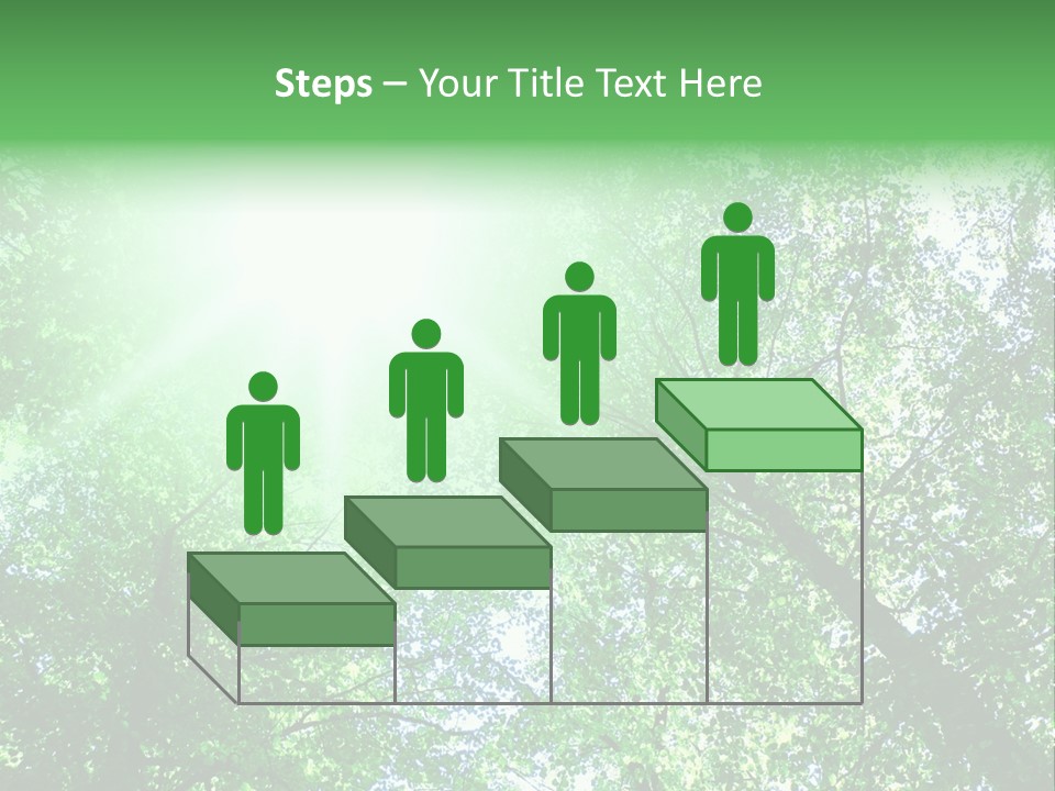 Pine Sunset Sunlight PowerPoint Template