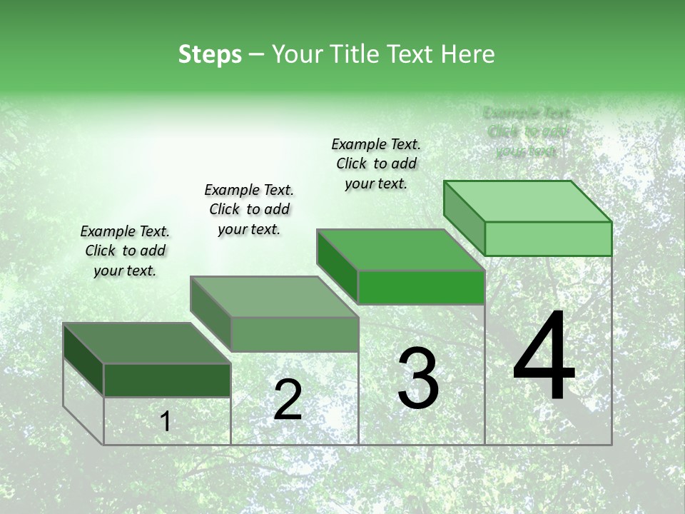 Pine Sunset Sunlight PowerPoint Template