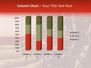 Conflict Fight Service PowerPoint Template