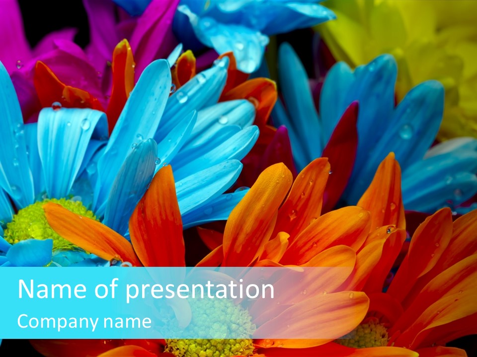 Botanical Bouquet Day PowerPoint Template