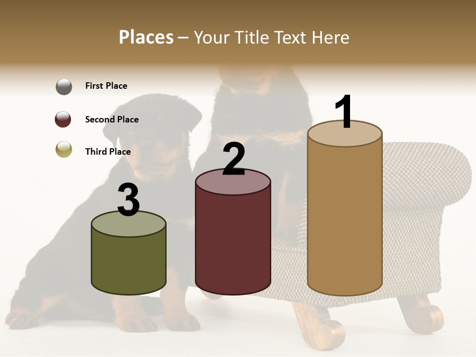 Rott Couch Rottweil Butcher's Dogs PowerPoint Template