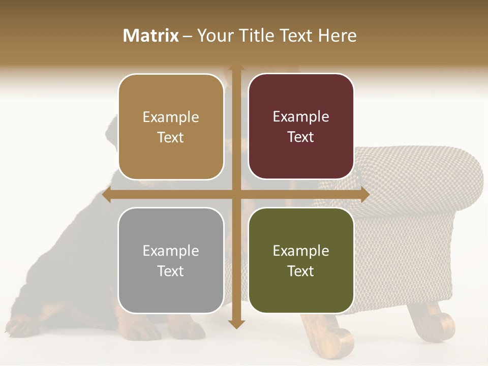 Rott Couch Rottweil Butcher's Dogs PowerPoint Template