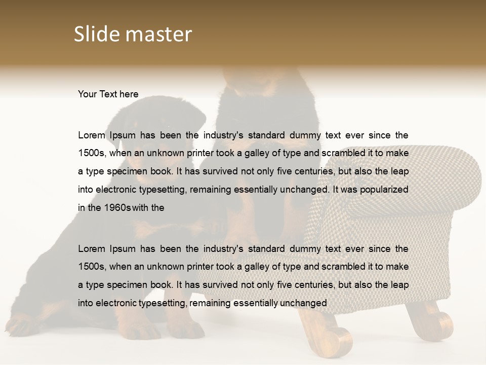 Rott Couch Rottweil Butcher's Dogs PowerPoint Template