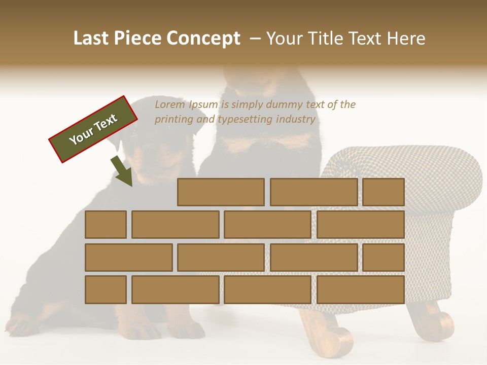 Rott Couch Rottweil Butcher's Dogs PowerPoint Template