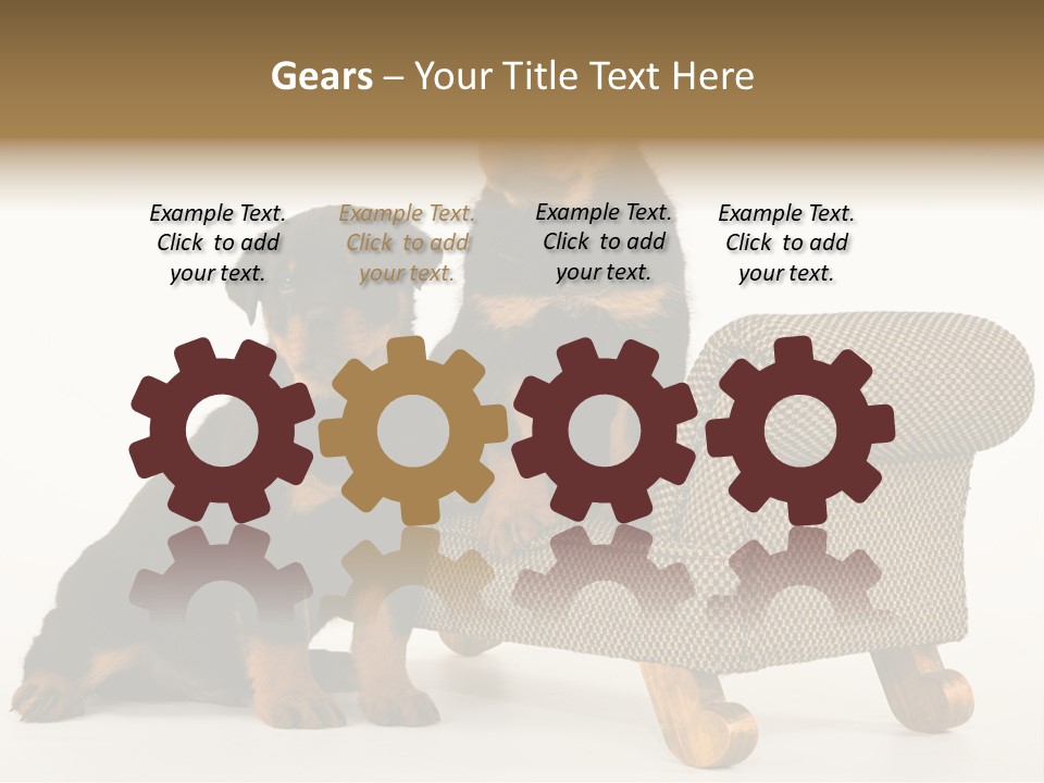 Rott Couch Rottweil Butcher's Dogs PowerPoint Template