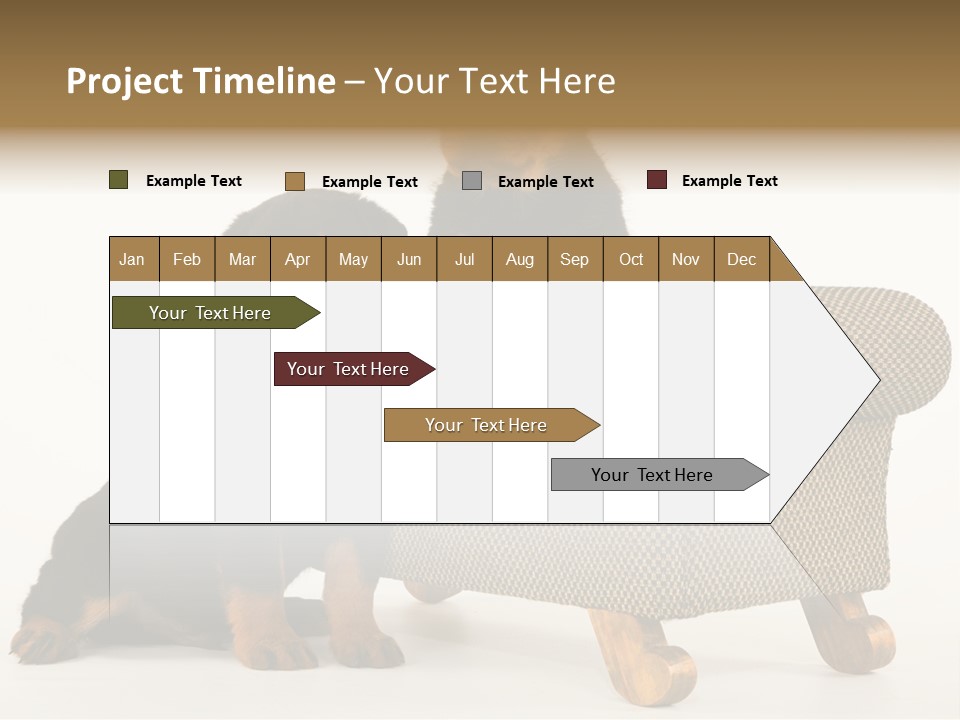 Rott Couch Rottweil Butcher's Dogs PowerPoint Template