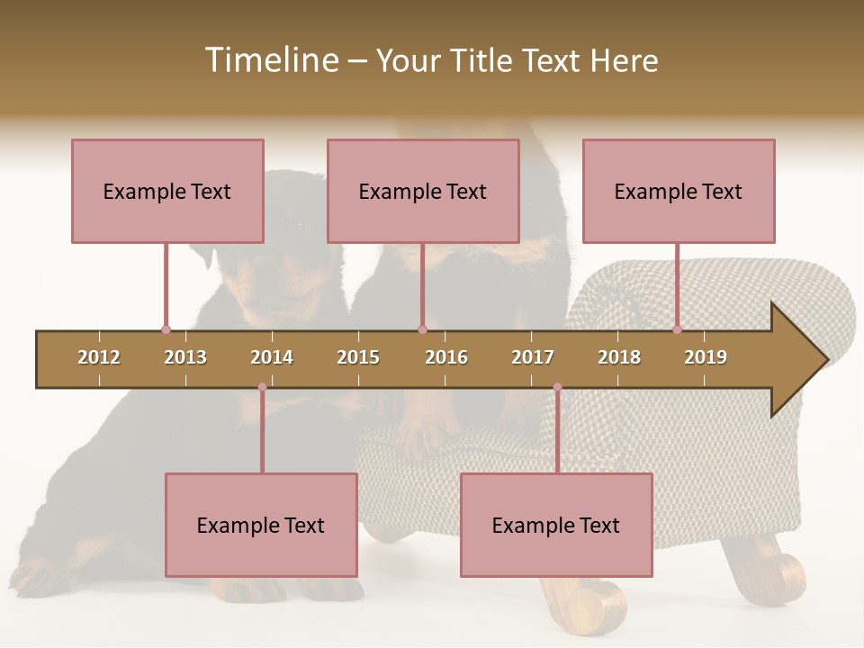 Rott Couch Rottweil Butcher's Dogs PowerPoint Template