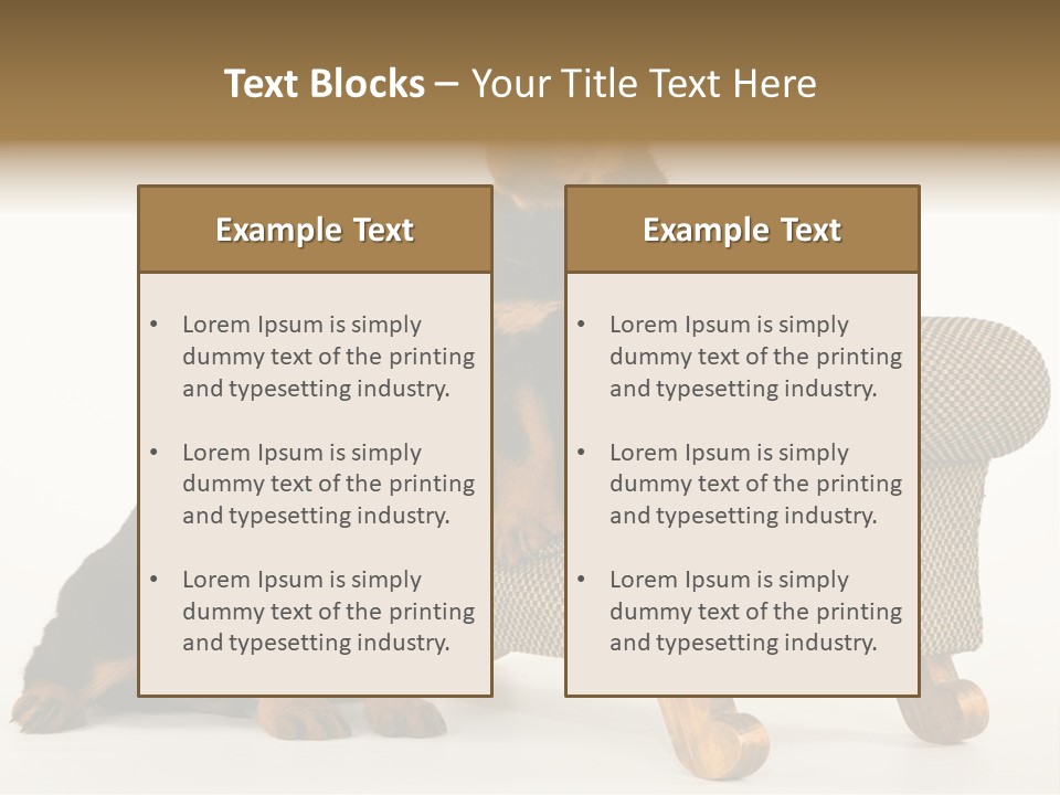 Rott Couch Rottweil Butcher's Dogs PowerPoint Template