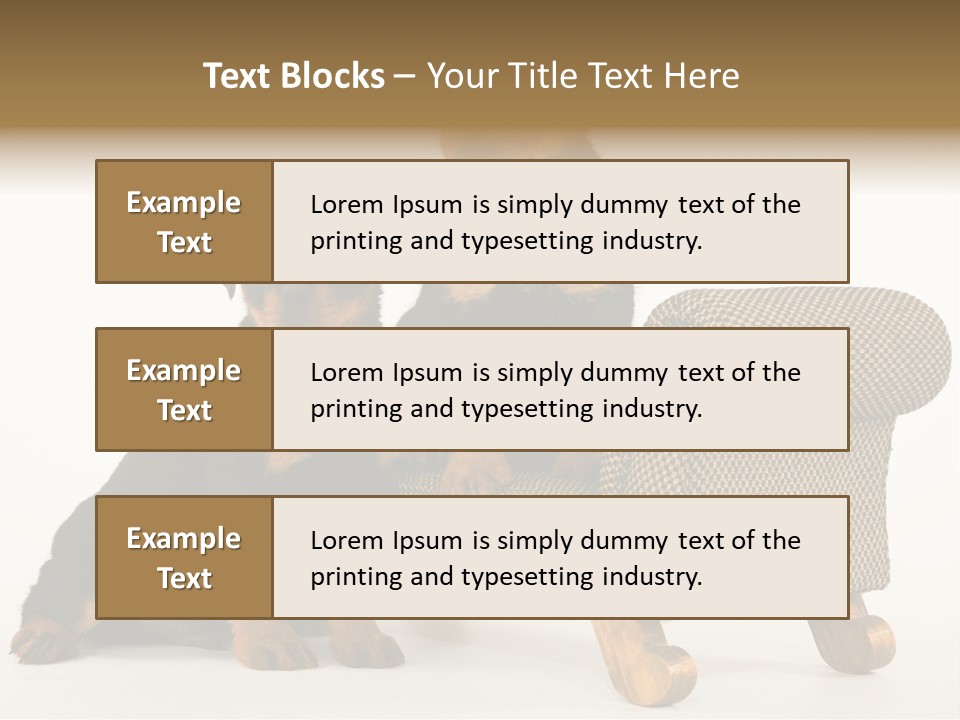 Rott Couch Rottweil Butcher's Dogs PowerPoint Template