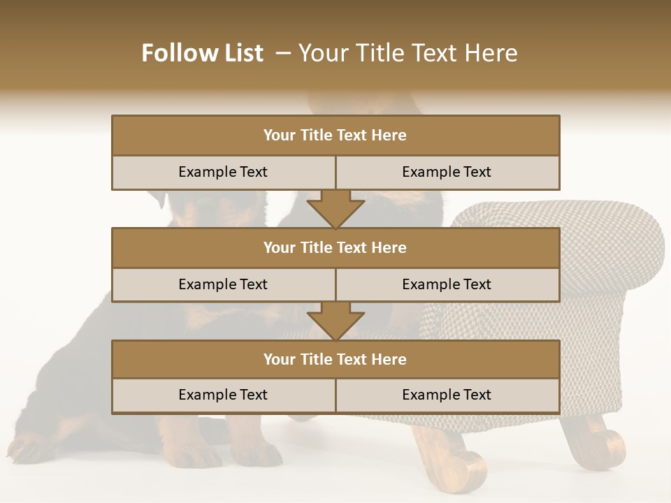 Rott Couch Rottweil Butcher's Dogs PowerPoint Template