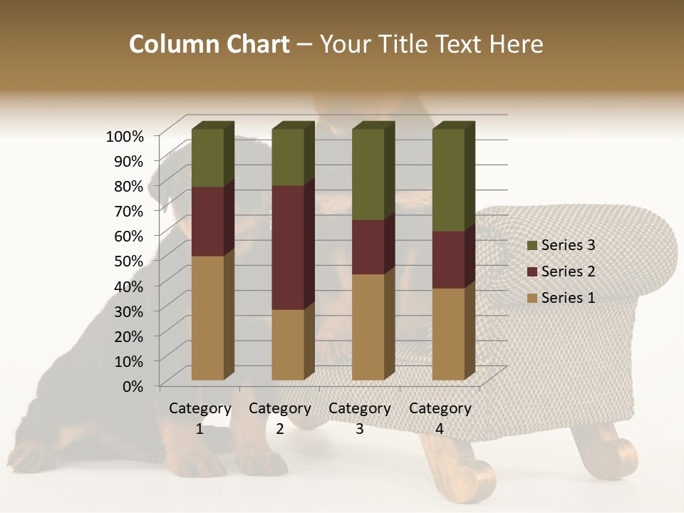 Rott Couch Rottweil Butcher's Dogs PowerPoint Template