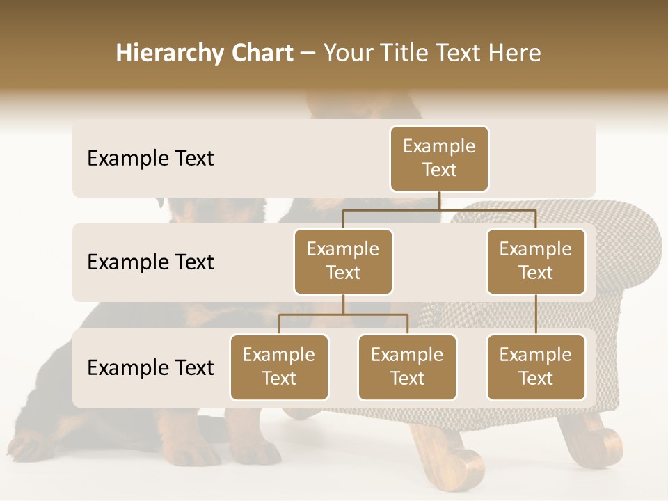 Rott Couch Rottweil Butcher's Dogs PowerPoint Template
