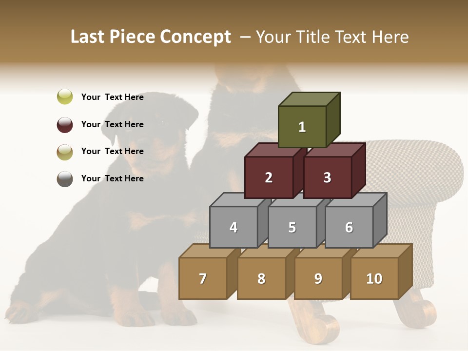 Rott Couch Rottweil Butcher's Dogs PowerPoint Template