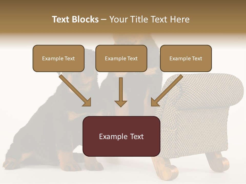 Rott Couch Rottweil Butcher's Dogs PowerPoint Template