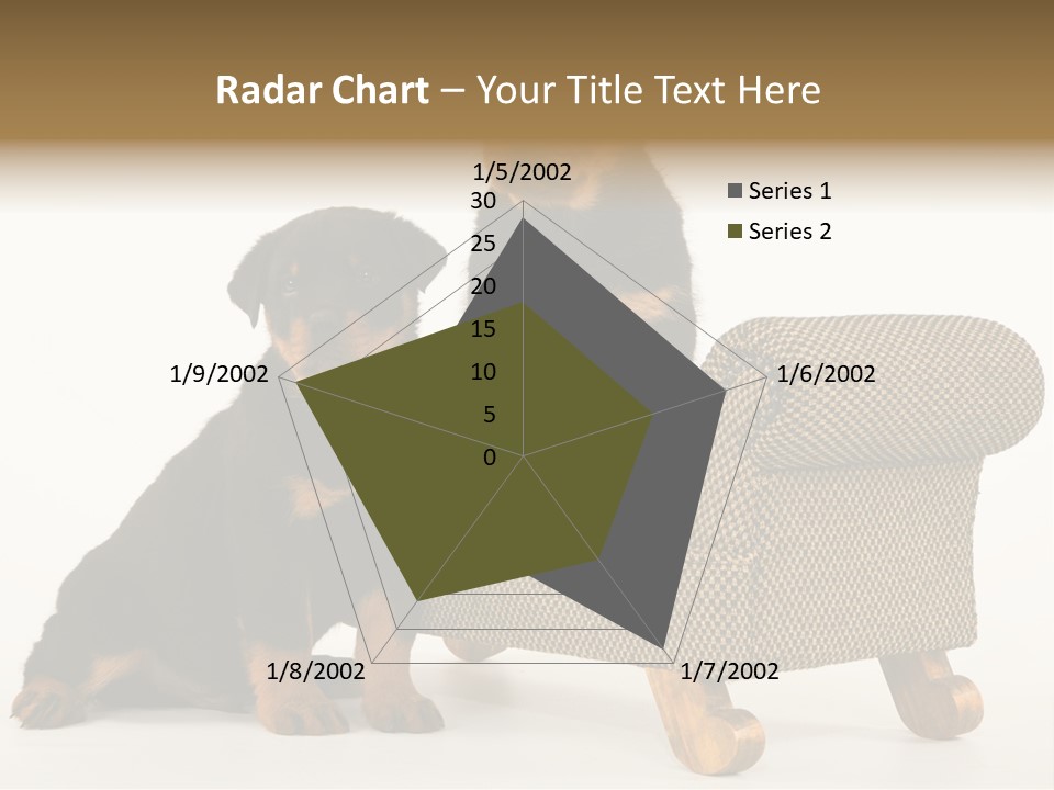 Rott Couch Rottweil Butcher's Dogs PowerPoint Template