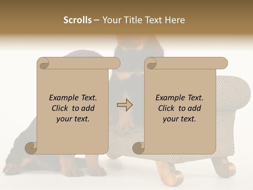 Rott Couch Rottweil Butcher's Dogs PowerPoint Template