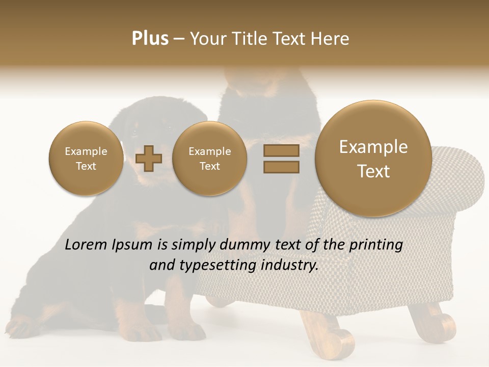 Rott Couch Rottweil Butcher's Dogs PowerPoint Template