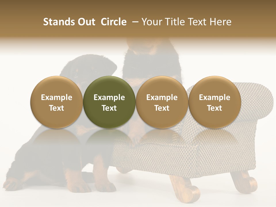 Rott Couch Rottweil Butcher's Dogs PowerPoint Template