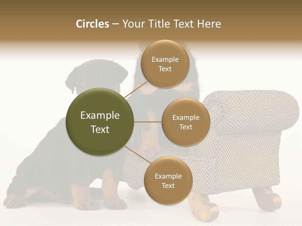 Rott Couch Rottweil Butcher's Dogs PowerPoint Template