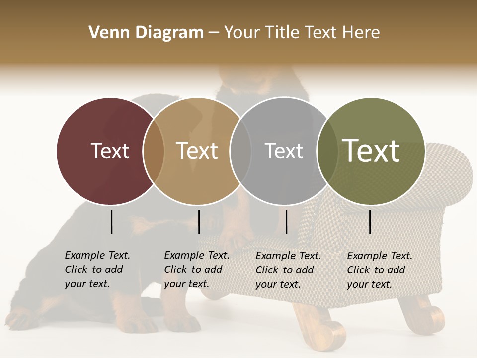 Rott Couch Rottweil Butcher's Dogs PowerPoint Template