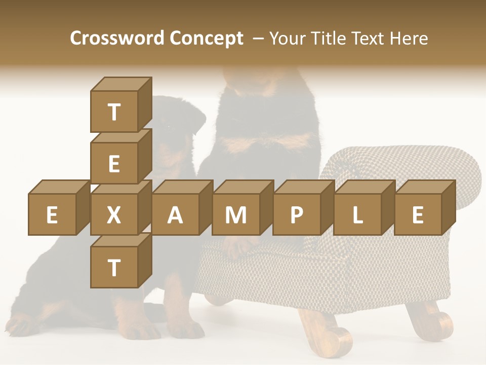 Rott Couch Rottweil Butcher's Dogs PowerPoint Template