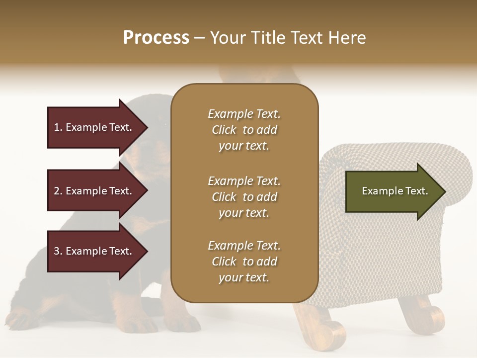 Rott Couch Rottweil Butcher's Dogs PowerPoint Template