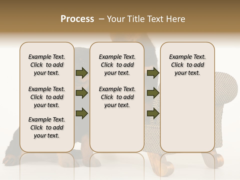 Rott Couch Rottweil Butcher's Dogs PowerPoint Template