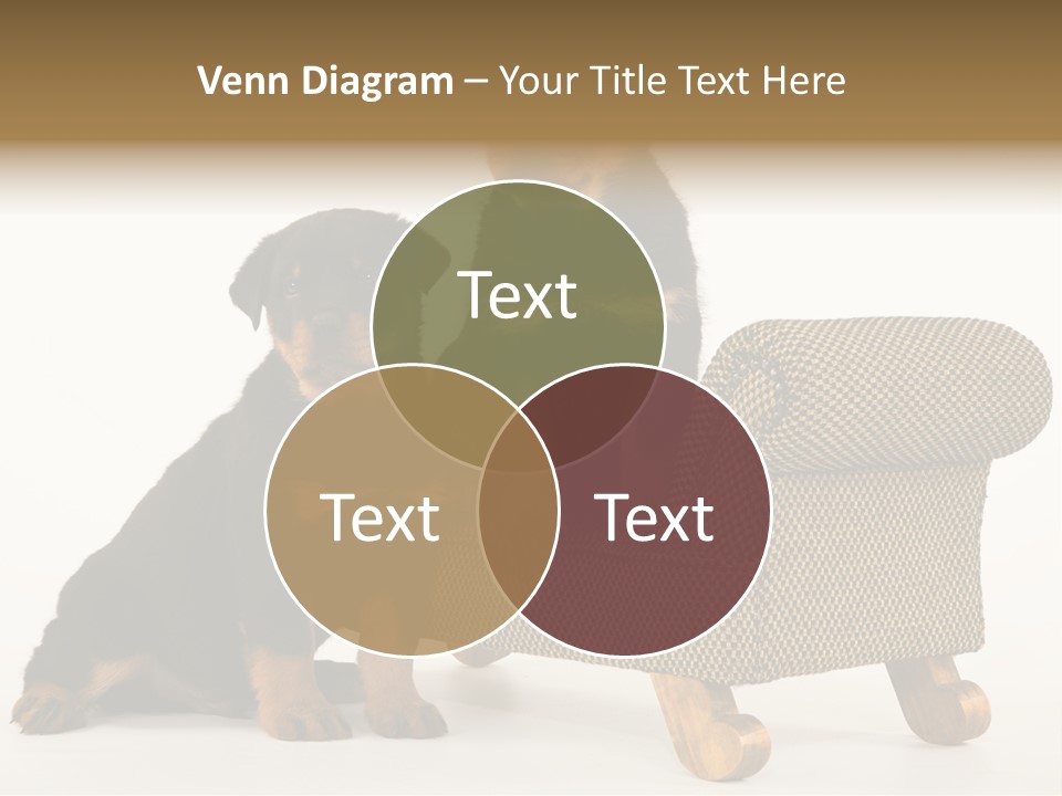 Rott Couch Rottweil Butcher's Dogs PowerPoint Template