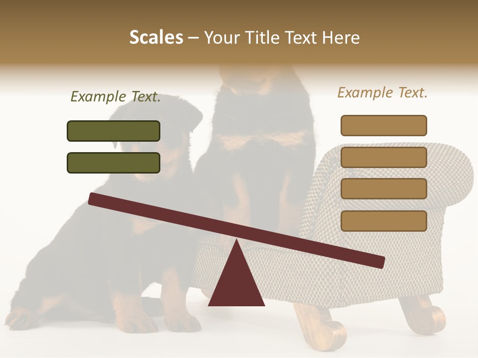 Rott Couch Rottweil Butcher's Dogs PowerPoint Template