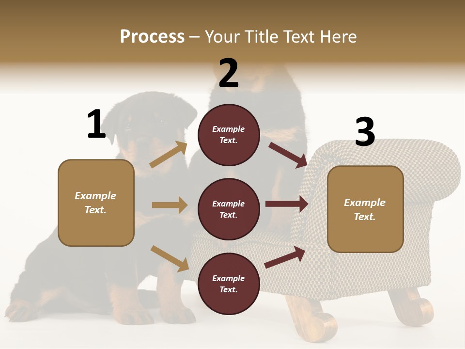 Rott Couch Rottweil Butcher's Dogs PowerPoint Template